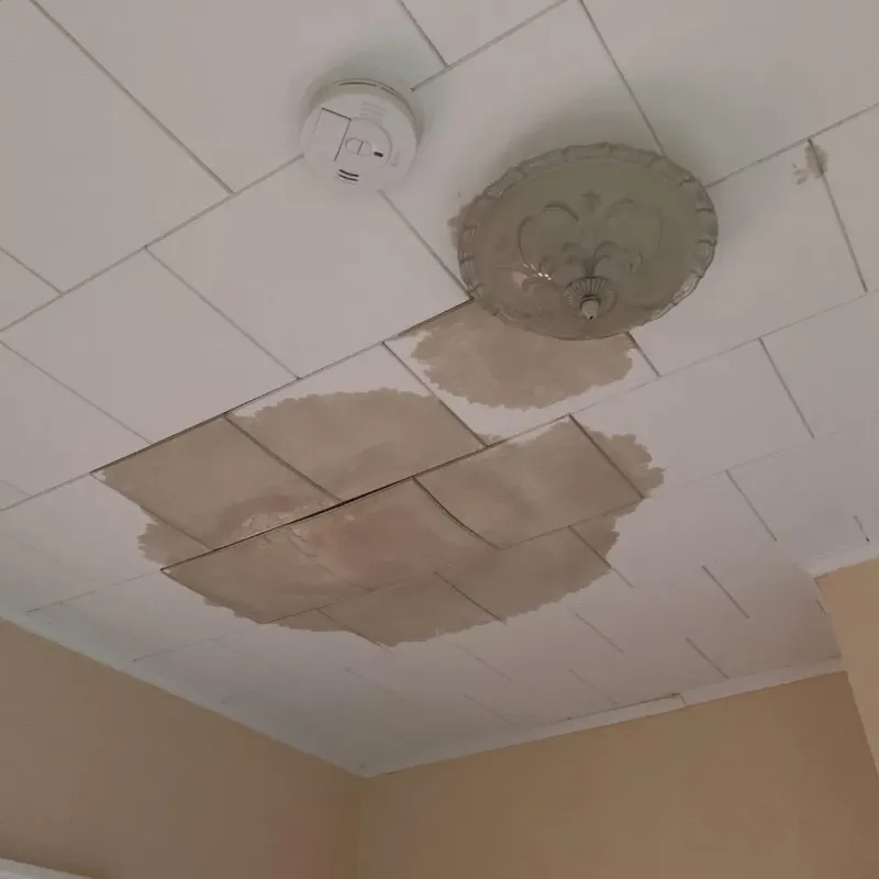 Ceiling Water Damage Repair in Jim Hogg County, TX