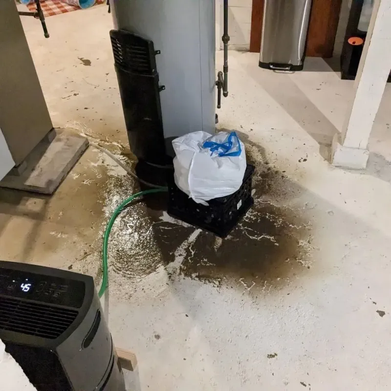 Sewage Backup Cleanup Service in Jim Hogg County, TX